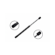 86304 Driver or Passenger Side Hood Lift Support