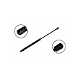 86320 Driver or Passenger Side Hood Lift Support