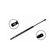 86331 Driver or Passenger Side Hood Lift Support