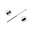 86336 Driver or Passenger Side Hood Lift Support