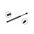 86430 Driver or Passenger Side Trunk Lid Lift Support