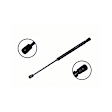 86431 Driver or Passenger Side Trunk Lid Lift Support