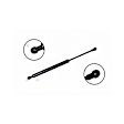86437 Driver or Passenger Side Trunk Lid Lift Support