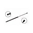 86453 Driver or Passenger Side Tailgate Lift Support