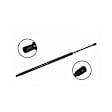 86469 Driver or Passenger Side Liftgate Lift Support