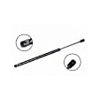 86502 Driver or Passenger Side Liftgate Lift Support