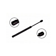 86549 Driver or Passenger Side Trunk Lid Lift Support