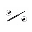 86594 Driver or Passenger Side Liftgate Lift Support