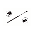 86607 Driver or Passenger Side Back Glass Lift Support