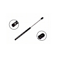 86611 Driver or Passenger Side Back Glass Lift Support