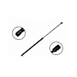 2018 Toyota Avalon - Driver or Passenger Side Lift Support Hood, For Hood, OE Replacement Series