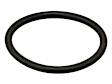 975667 Engine Coolant Pipe O-Ring