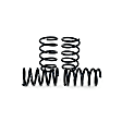 2005 Honda Odyssey - Front and Rear Lowering Springs, Mini Passenger Van, FWD, Set