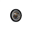 68174083AA Thermostat