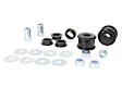 REV118.0060 Trailing Arm Bushing - Sold individually