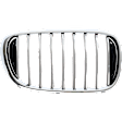 Passenger Side Grille Assembly, Grille