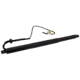 Driver Side Liftgate Lift Support, Sport Utility, Sold Individually