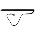 Driver Side Liftgate Lift Support, Sport Utility, Sold Individually