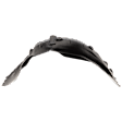 Rear, Passenger Side Fender Liner