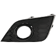 Front, Passenger Side Fog Light Trim, Black, For Models with Midnight Special Edition