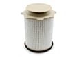 35-17002M OE Replacement Dry Air Filter