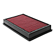 28-30005 Performance Replacement Dry Air Filter Dryflow Series