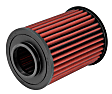 AE-20993 Performance Replacement Dry Air Filter Dryflow Series