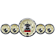 2000 Gauge Kit, 5 Pc. 3 3/8in. & 2 1/16in. Elec. Speedo W/Lcd Odo, Prestige Antq. Ivory