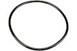 CY0516171 Fuel Pump O-Ring - Direct Fit