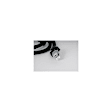10340315 Direct Fit ABS Wheel Speed Sensor Wiring Harness, Sold Individually