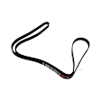 12569505 Serpentine Belt - Sold Individually