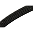12596249 Serpentine Belt - Sold Individually