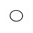 12602379 Fuel Sending Unit O-Ring - Direct Fit