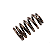 12686721 Valve Spring
