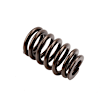 12686721 Valve Spring