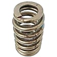 12706568 Valve Spring - Direct Fit