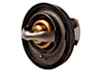 131-120 GM Original Equipment Series Thermostat