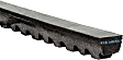15520 Professional Series Accessory Drive Belt - Direct Fit, Sold individually