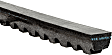 15525 Professional Series Accessory Drive Belt - Direct Fit, Sold Individually