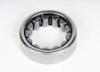 1559TS Direct Fit Manual Transmission Counter Gear Bearing, Sold Individually