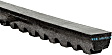 17405 Professional Series Accessory Drive Belt - Fan belt, Direct Fit, Sold individually