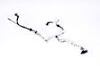 176-1786 GM Original Equipment Series Power Brake Booster Line