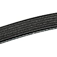 19244944 Serpentine Belt - Sold Individually