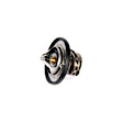 19316307 GM Original Equipment Series Thermostat