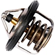 19316308 Thermostat