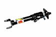 19431687 Rear, Passenger Side Shock