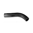 2004 Honda CR-V - Radiator Hose, Lower, GAS, Rubber, 2.4L 4Cyl
