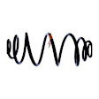22714392 Rear Coil Springs, Sold individually Professional Series