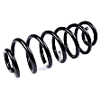 23154238 Rear Coil Springs, Sold individually Professional Series