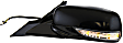 Driver Side Mirror, Power, Manual Folding, Heated, Paintable, In-housing Signal Light, With memory, No Puddle Light, No Auto-Dimming, No Blind Spot Feature